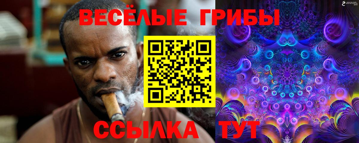 Псилоцибиновые грибы ЛСД Анжеро-Судженск
